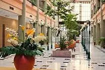Hotel Trh Alcora
